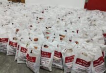 Marcha para Jesus 2025 une fé e solidariedade com grande ação social no Rio de Janeiro